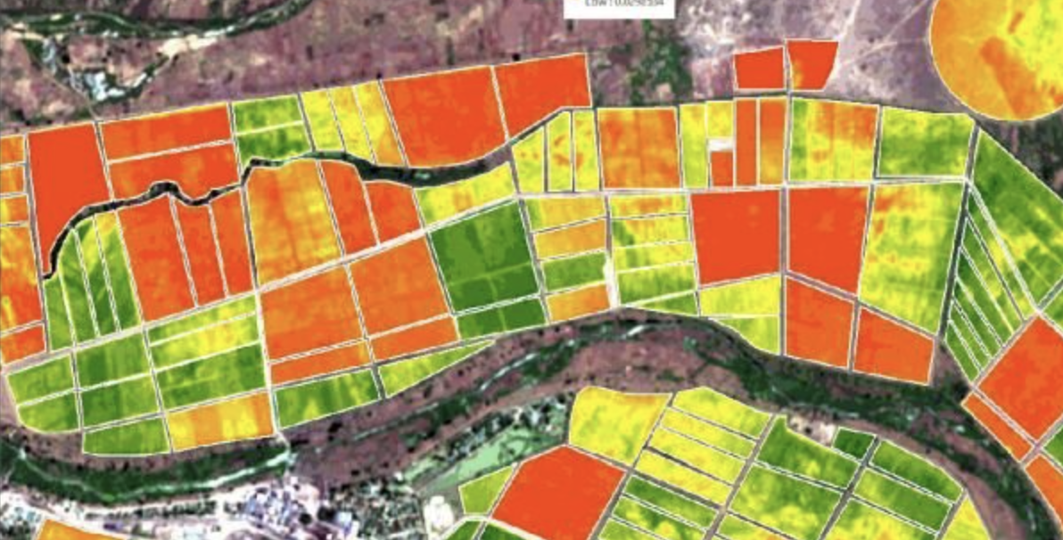 Agroclimatic reports