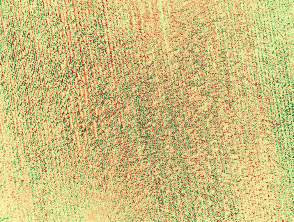 Soil moisture